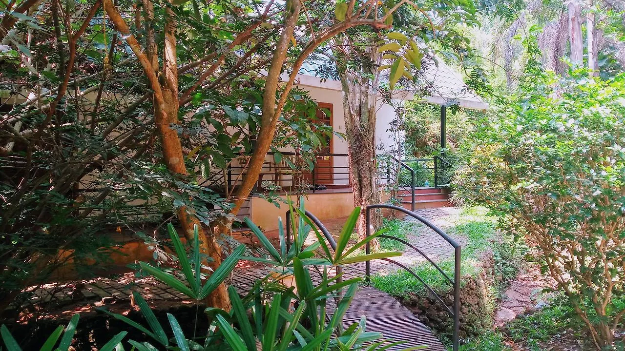 ***  Vythiri Greens Holiday Resort India