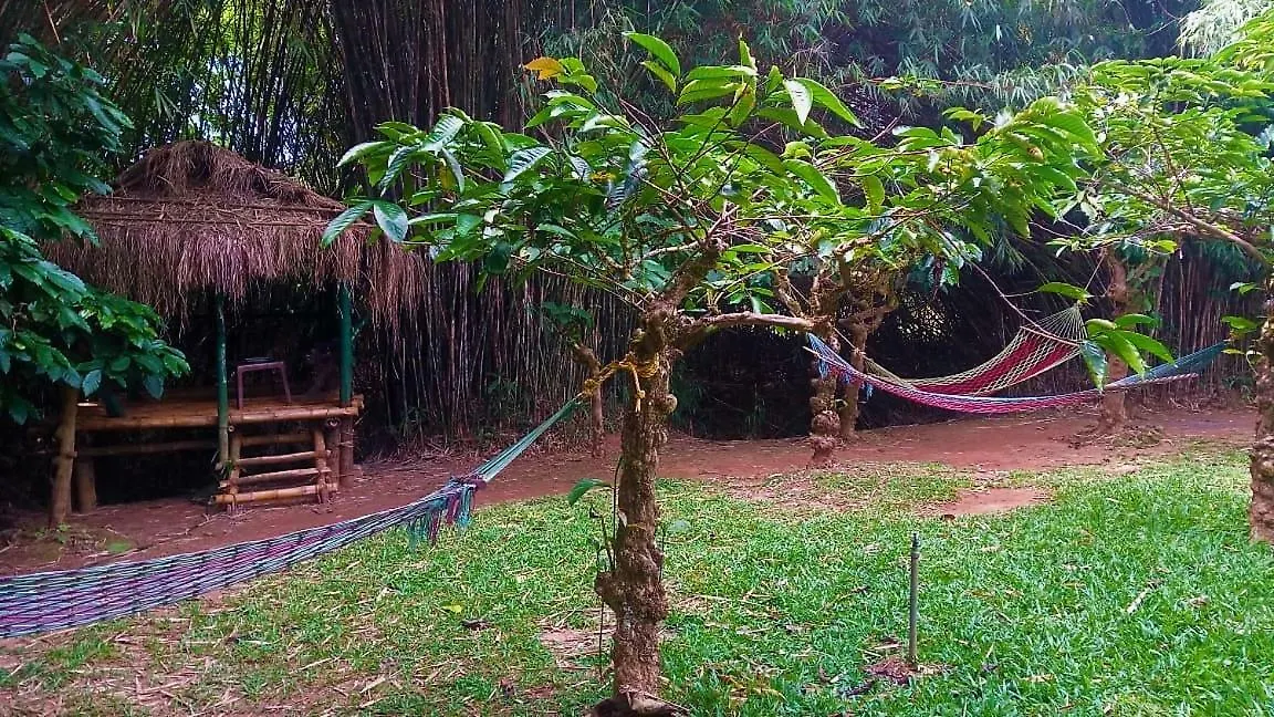 Vythiri Greens Holiday Resort India